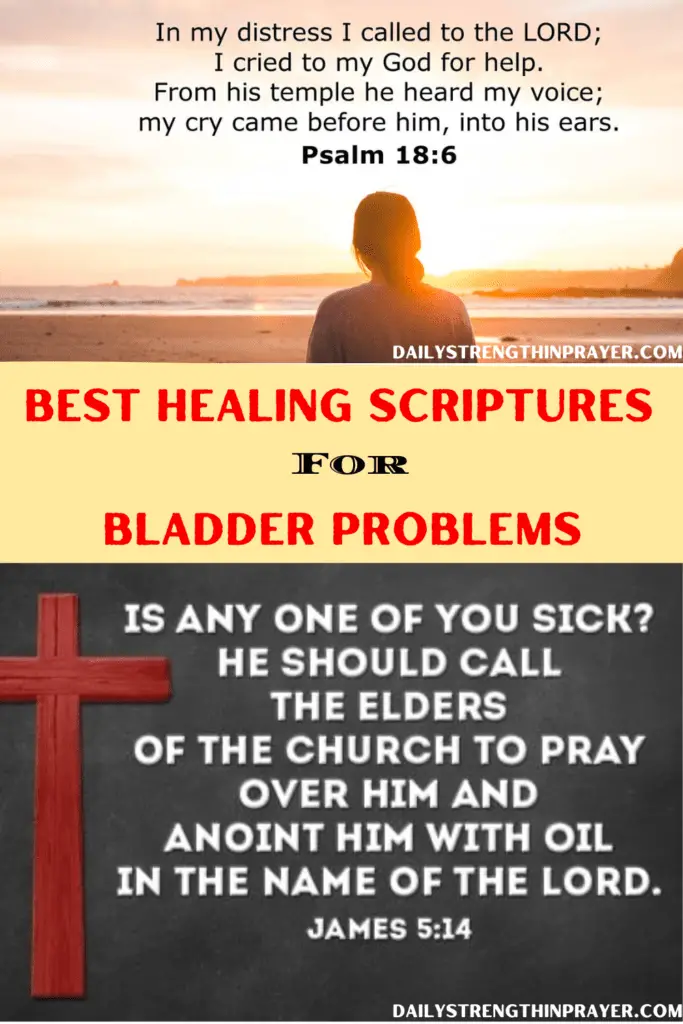 Healing scriptures for bladder