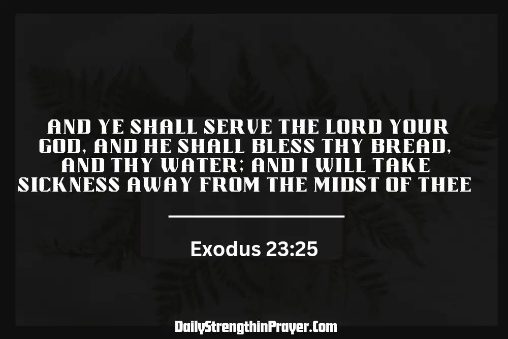 Exodus 23 25