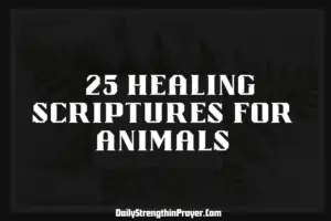 Healing scriptures for animals