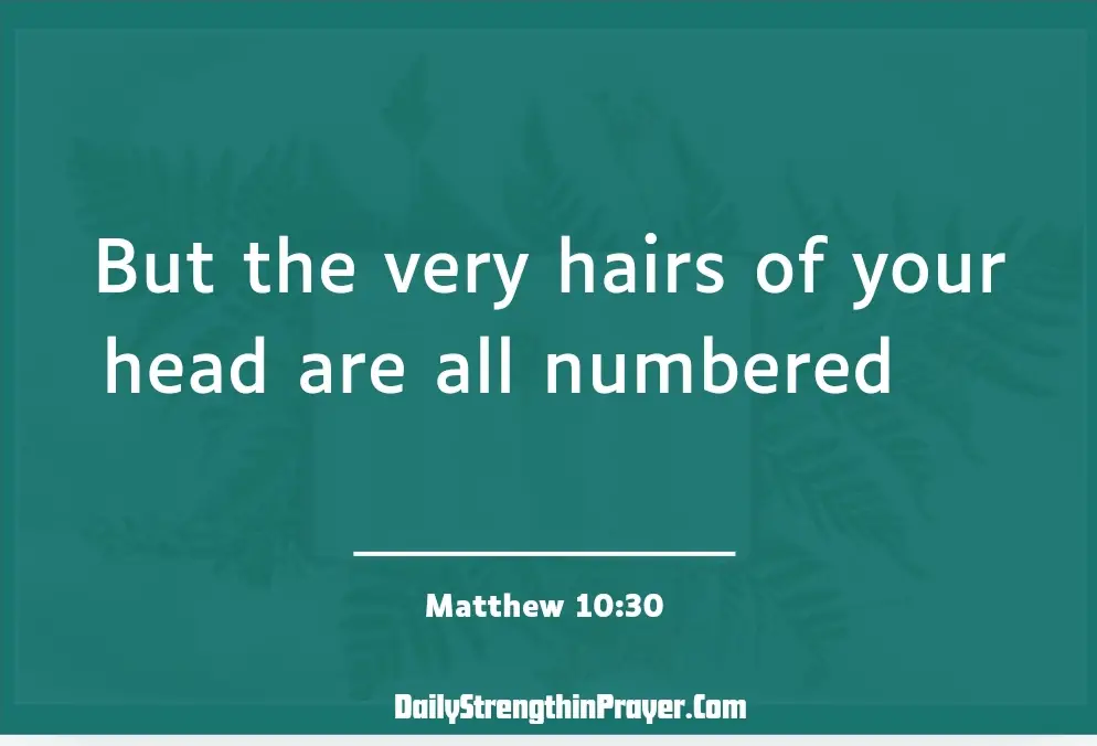 Matthew 10 30