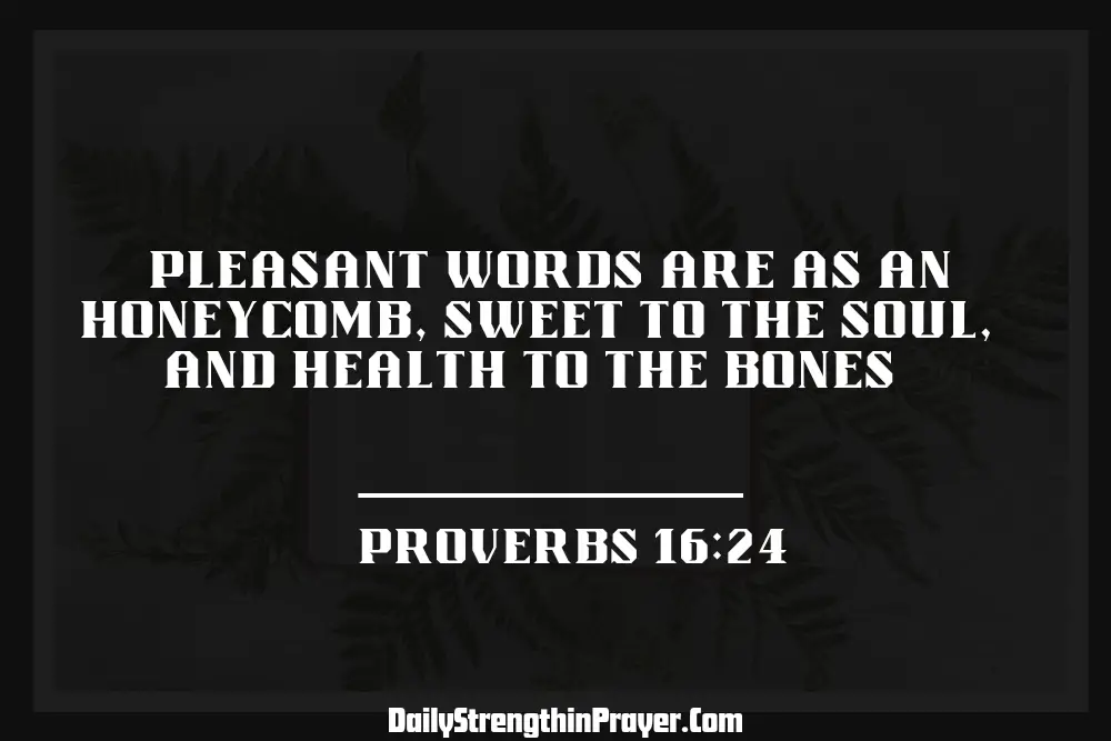 Proverbs 16 24