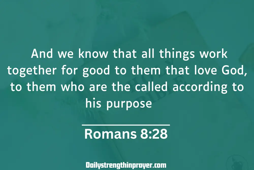 Romans 8:28