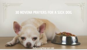 Novena Prayers for sick dog