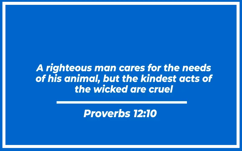 Proverbs 12 10