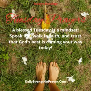 80 Tuesday Prayers: Powerful Tuesday Prayers to Start Your Day