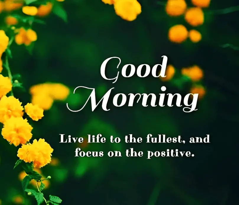 Good morning wishes for joy