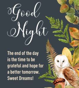 90 Good Night Blessings: Beautiful Blessings for Restful Sleep [With Images]