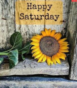 70 Good Morning Saturday Blessings