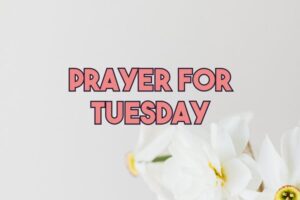 prayer for tuesday
